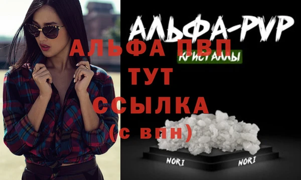 бошки Бородино